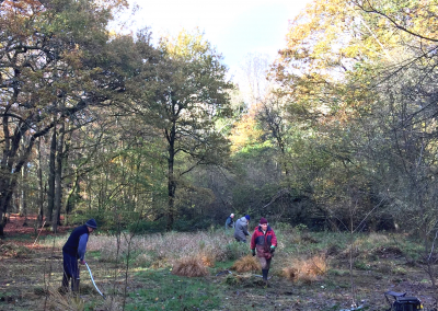 Solihull Conservation Volunteers