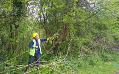 Grants awarded to improve access to nature across the West Midlands.