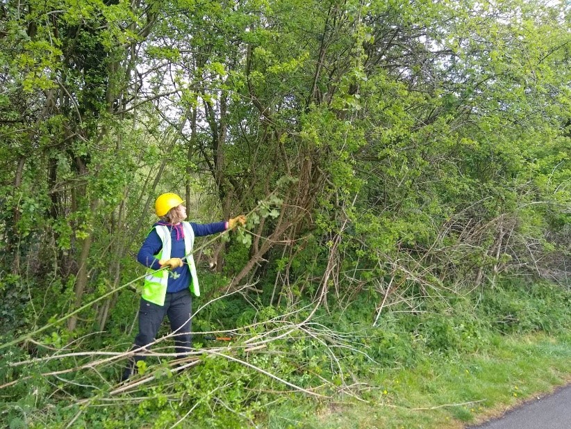 Grants awarded to improve access to nature across the West Midlands.